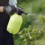 Bez chemii w ogrodzie: 11 domowych mikstur na szkodniki, które działają lepiej, niż myślisz